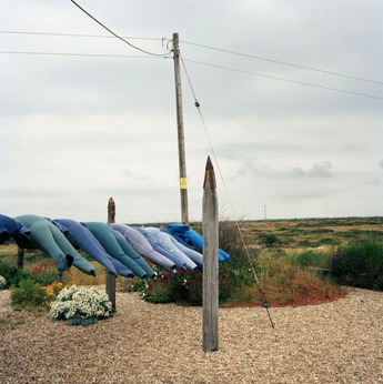 Screenshot 2026 01 20 At 180624