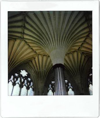 Wells Polaroid 1