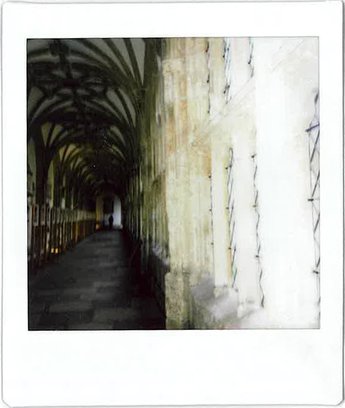 Wells Polaroid 3