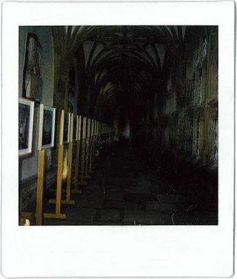Wells Polaroid 6