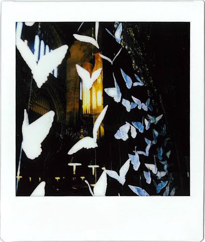 Manchester Polaroid 7