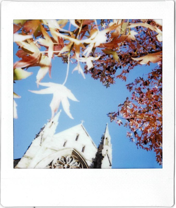 Worcester Cathedral Polaroid 5